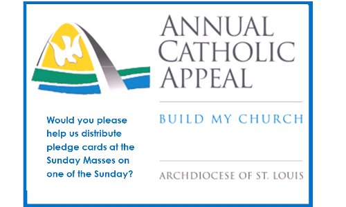                   Annual Catholic Appeal
