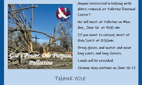 Help Clean Up at Pallottine