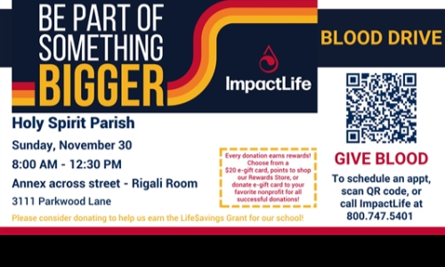   BLOOD DRIVE NOVEMBER