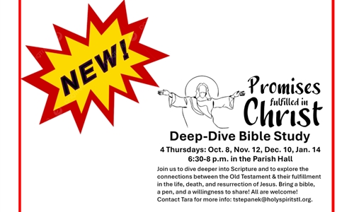 BIBLE STUDY ON THE OLD TESTAMENT