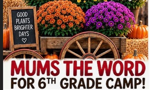 ANNUAL MUM SALES FOR 6TH GRADE CAMP