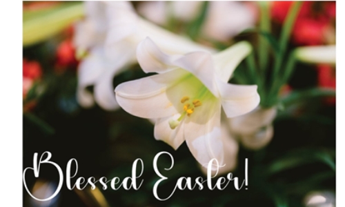 FROM THE PARISH STAFF