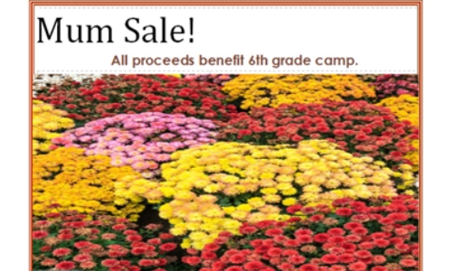 MUM SALE TO SUPPORT SIXTH GRADE CAMP