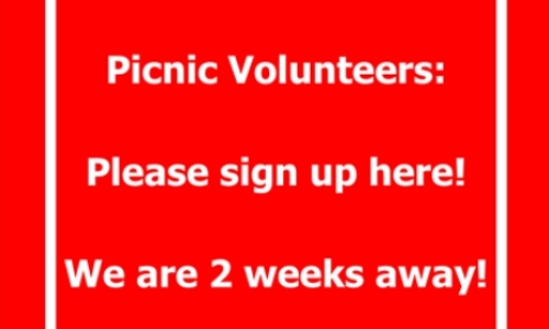 PICNIC VOLUNTEER SGN-UPS 