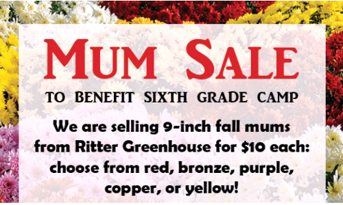 Mum Sale for Sixth Grade Camp