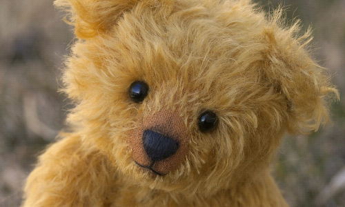 Teddy Bears Looking for a New Home?