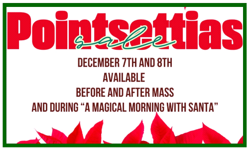 Poinsettia Sale for 6th Grade Camp