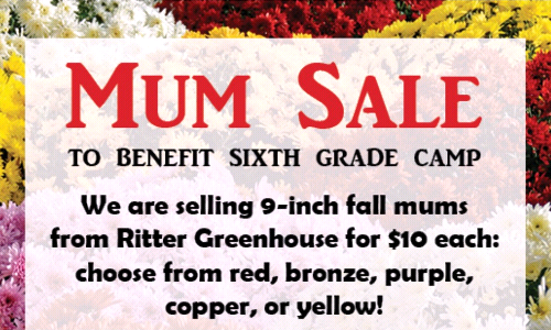 Mum Sale for Sixth Grade Camp